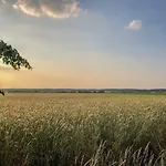 Am Mellensee Gasthof Saalow
