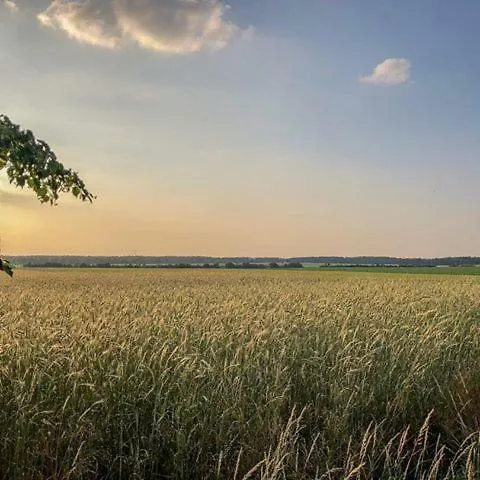 Am Mellensee Pensjonat Saalow